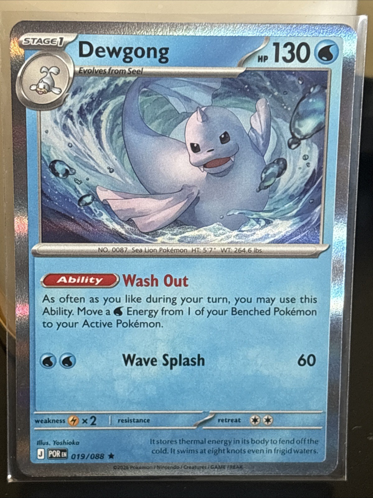 Pokemon TCG | Dewgong 19/88 | Holo | Perfect Order | NM