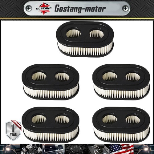 Filtro Aria Per Briggs & Stratton - Compatibile Con 4247, 5432, 593260, 798452 - Foto 7