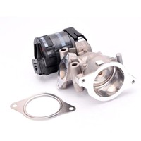 Delphi EG10396-12B1 Agr-Ventil FüR Fiat Peugeot Ford CitroËN Volvo Lancia