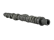 Skunk2 305-05-0055 Tuner Stage 4 Camshaft For Honda D-series Vtec D15d16