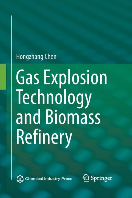 Gas Explosion Technology and Biomass Refinery by Hongzhang Chen PAPERBACK