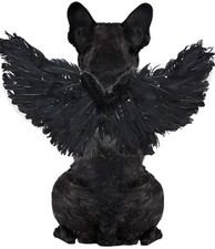 WeeH Mascota Disfraz Halloween Ángel Diablo Negro Blanco Ala para Perro Gato Conejo