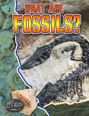 What Are Fossils? (Let's Rock!)