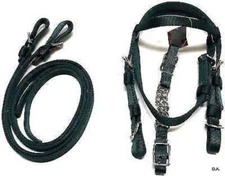 D.A. Brand Hunter Green Pony Sized Poly Nylon Complete Bridle Set horse tack 