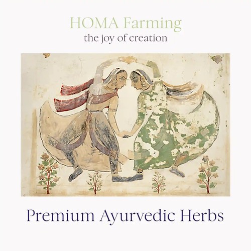 Moringa Oleifera Leaf Powder - HOMA Organic Grown - Picture 3 of 4
