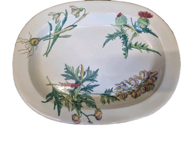 Wedgwood Morris Plants Flora ovale Platte um 1880 
