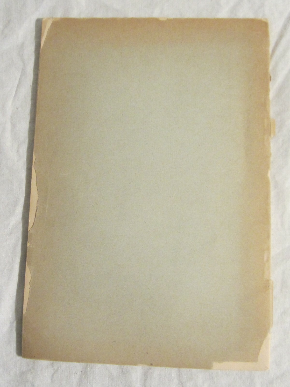 ANDREW HASWELL GREEN -- Writings & Addresses -- NEW YORK OF THE FUTURE -- 1893 Goedkope klassieker