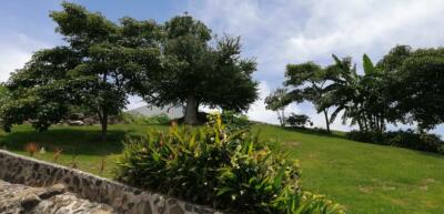 Terreno Venta Fracc. Burgos Corinto