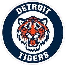 (NOT A PATCH) Detroit Tigers HTV Heat Press Transfer Vinyl Iron On