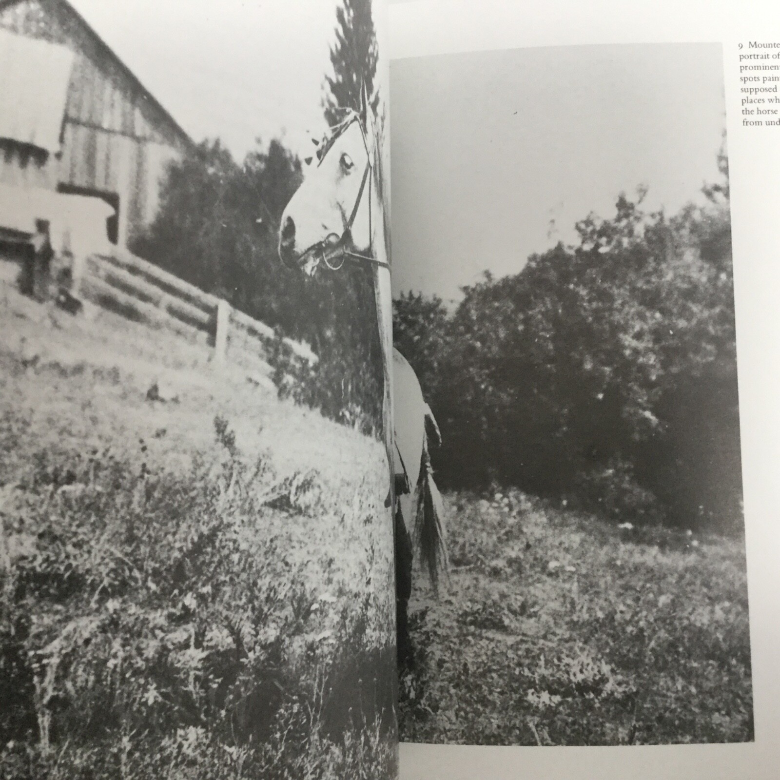 Picture 5 of 10
