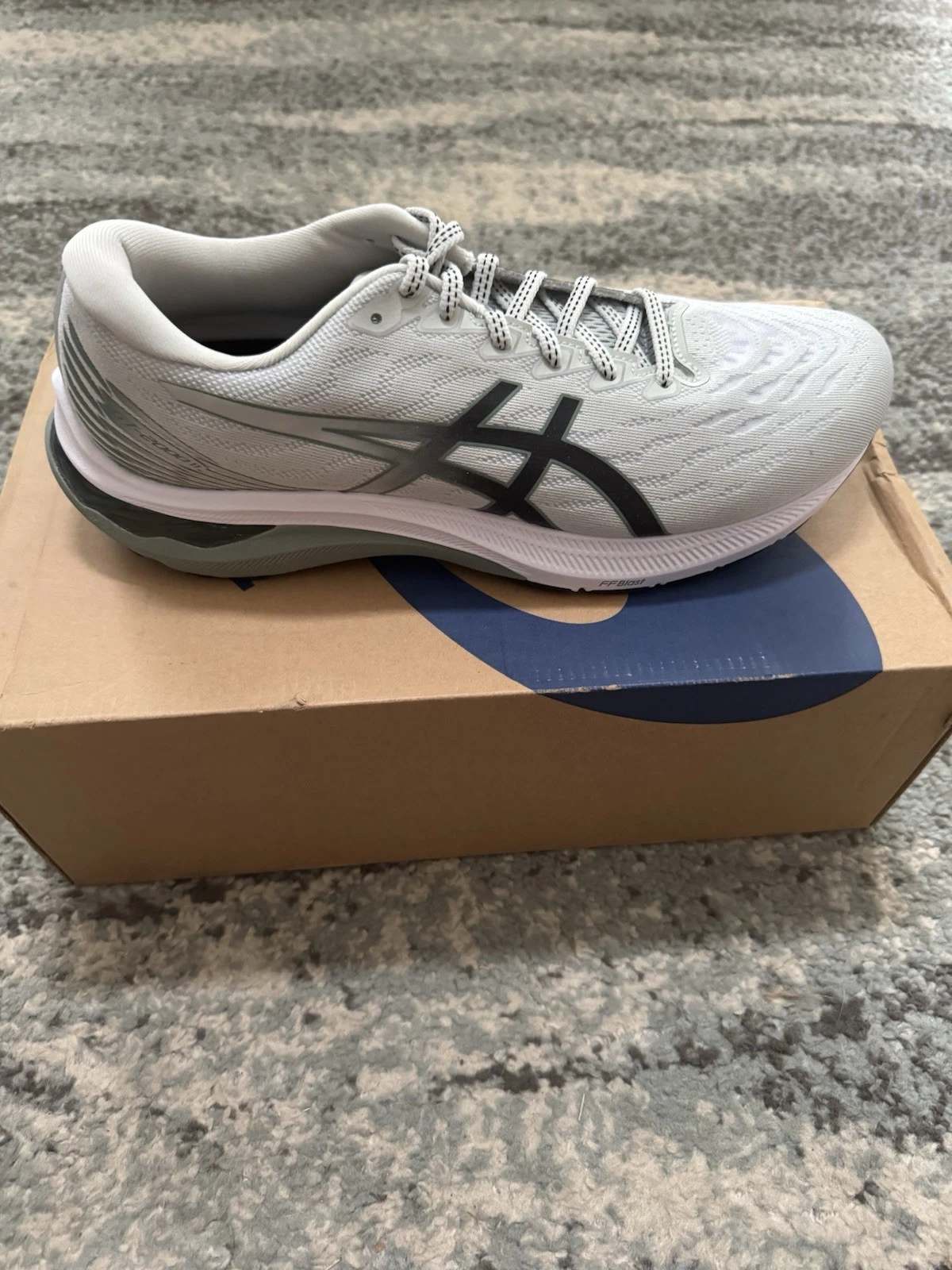 ASICS Men’s GT-2000 11 Size 10