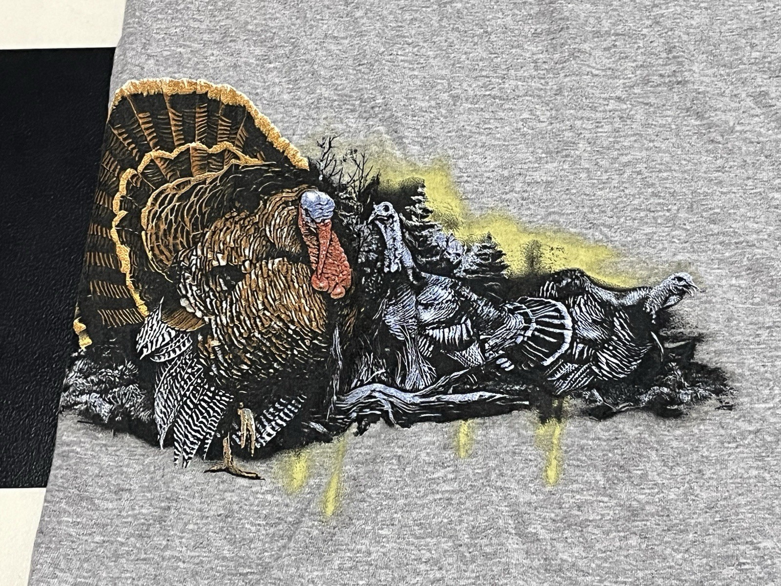 Picture 4 of 5