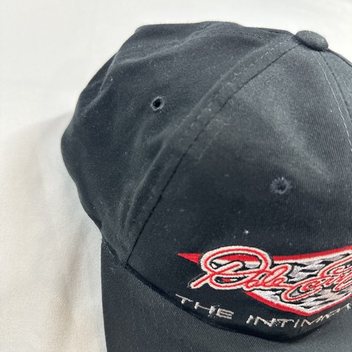 Vintage 90s Dale Earnhardt #3 GM Goodwrench Chase Authentics Snapback Hat Cap - Picture 16 of 17