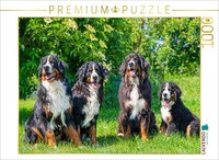 Calvendo Puzzle Four Beauties - Bernese Mountain Dogs | 1000 Pieces, Finished Si