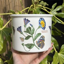 Portmeirion Botanic Garden Trailing Bindweed 5.5" Planter Bowl Crock Flower Pot