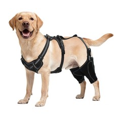 Dog Knee Brace for Torn ACL/CCL - Adjustable Hind Leg Support with Non-Slip H...