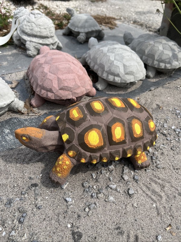 Homemade Latex/fiberglass Mold. Make Concrete Or Plaster Box Turtle. 