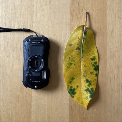 Ricoh WG-80 Digital Camera Waterproof Shockproof Freezeproof Crushproof Black