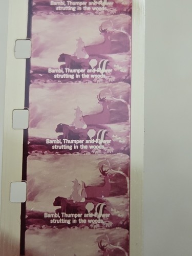 BAMBI FALLS IN LOVE - Walt Disney Home Movies Super 8 mm. Silent & Color Film - Picture 3 of 21