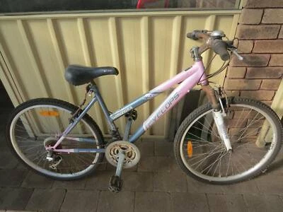 shimano cyclops bike