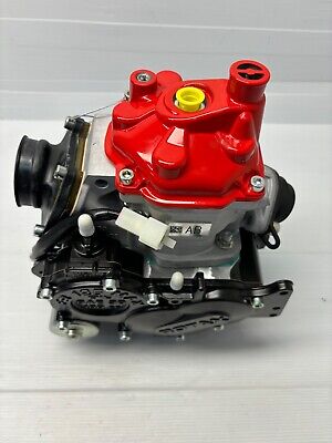 NEW Rotax Max Evo Mini Max INTER Engine - WITH CLUTCH AND NEW Rotax Max Evo Mini Max INTER Engine - WITH CLUTCH AND