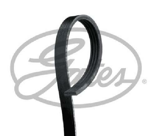 Original Gates Keilrippenriemen 4PK803 FüR Aston Martin BMW Daihatsu Fiat Honda-image