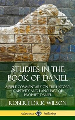 Studien im Buch Daniel: Ein Bibelkommentar zur Geschichte, Gefangenschaft...