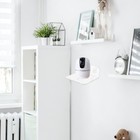 Bild 11 von 12