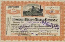 Tonopah Divide Mining Company 1920 Nevada Esmeralda County Goldfield Falcon Mine