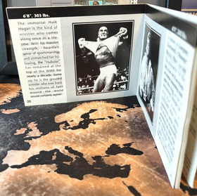 WWF WrestleMania Steel Cage Challenge Nintendo NES PAL UKV manuale testato custodia