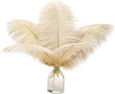 Champagne Ostrich Feathers Bulk - 12Pcs 12-14inch Large Boho Feathers for Vase W