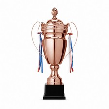 Lidded Award Trophy Decorative Metal Trophy with Handles Classic for Students