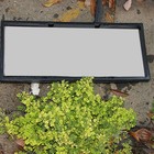 Bild 9 von 12