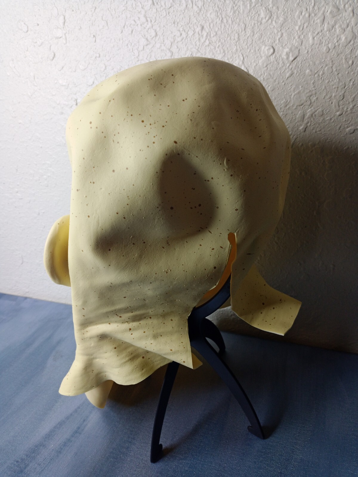 Bild 4 von 5