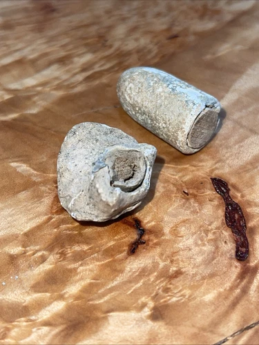Civil War Enfield Bullets. 1 Drop, 1 Shot  with Rosewood Plugs - Richmond, Va