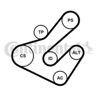 Continental Ctam Keilrippenriemensatz FüR Renault Laguna II Grandtour KG0/1_