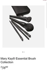 Mary Kay® Essential Brush Collection With Storage/Org. - NEW IN SEALED PKGS!