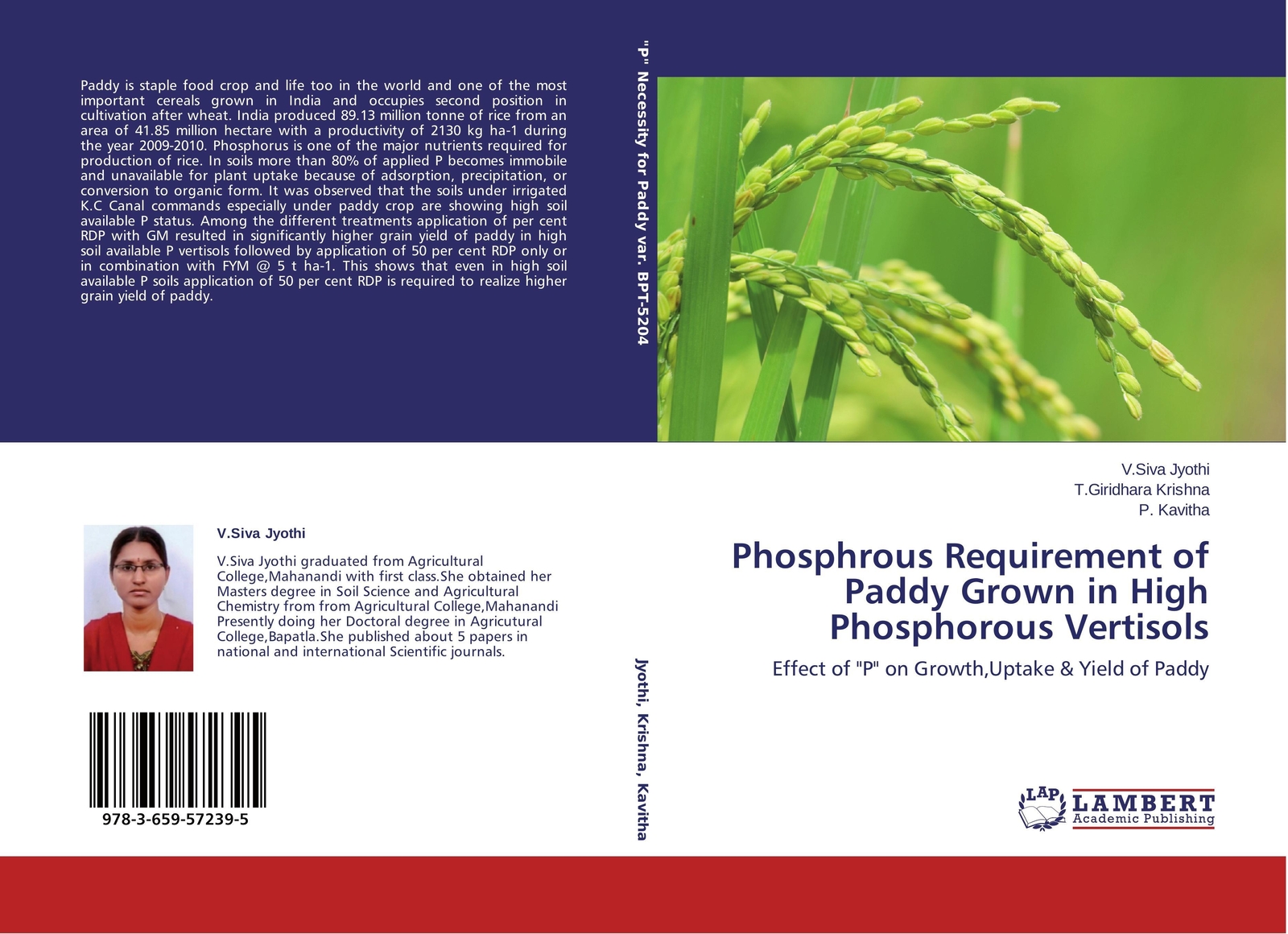 Thumbnail - Phosphrous Requirement Of Paddy Grown In High Phosphorous Vertisols