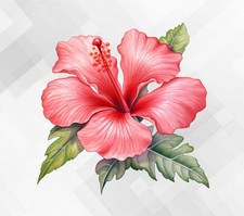 Hibiscus Flower Wall vinyl sticker decal yf600