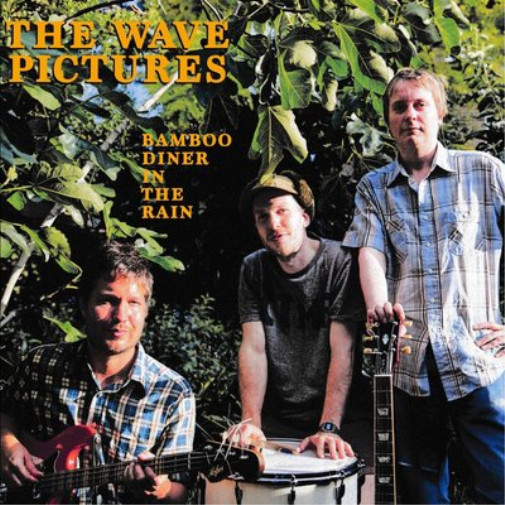 Альбом The Wave Pictures Bamboo Diner in the Rain (CD)