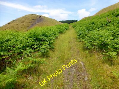 Foto 12x8 Spoil Heap neben Fußweg Eberesche\/Aberpennar Spoil Heap c2015