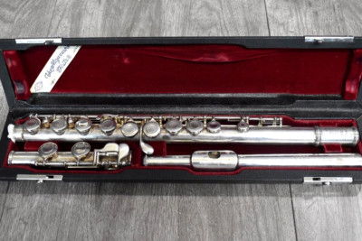 Miyazawa PCM-300 Flute Hard Case | eBay