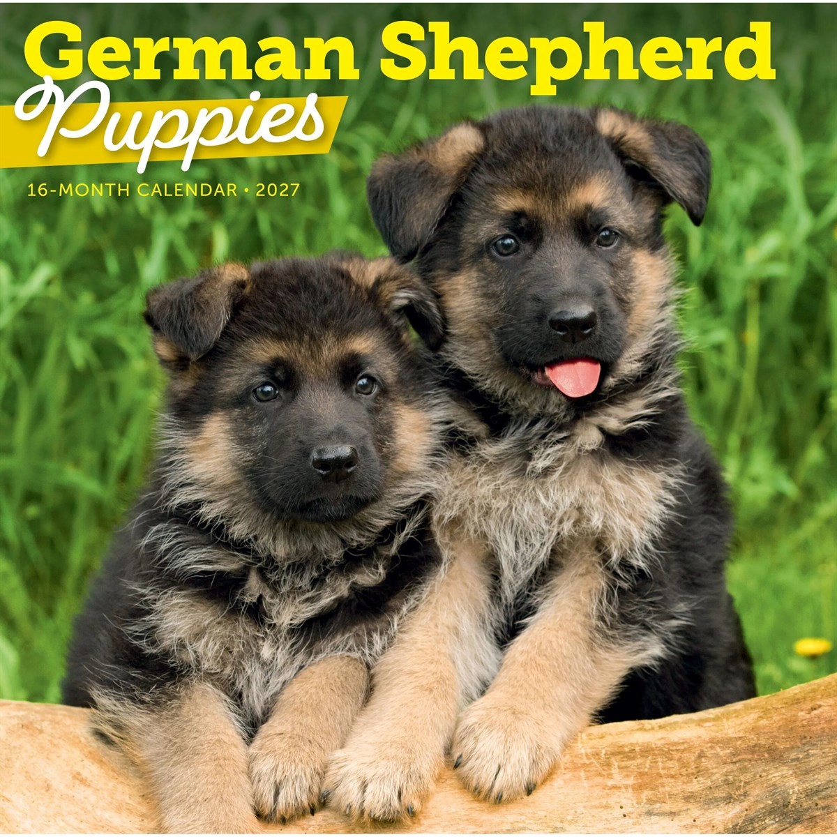 German Shepherd Puppies Calendar 2027 - Image 2