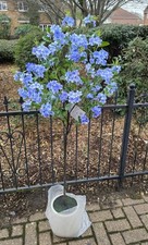 Artificial Tree Outdoor Indoor 5ft Lifelike brand new