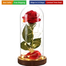 Valentines Day Gifts for Her,Beauty and The Beast Rose in Glass Dome,Lasts Fo...