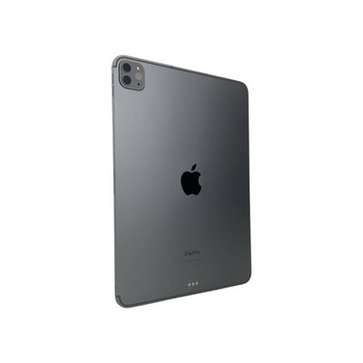 Apple iPad Pro 4. Gen (2022) 11 Zoll WiFi + Cellular 256 GB Space Grau