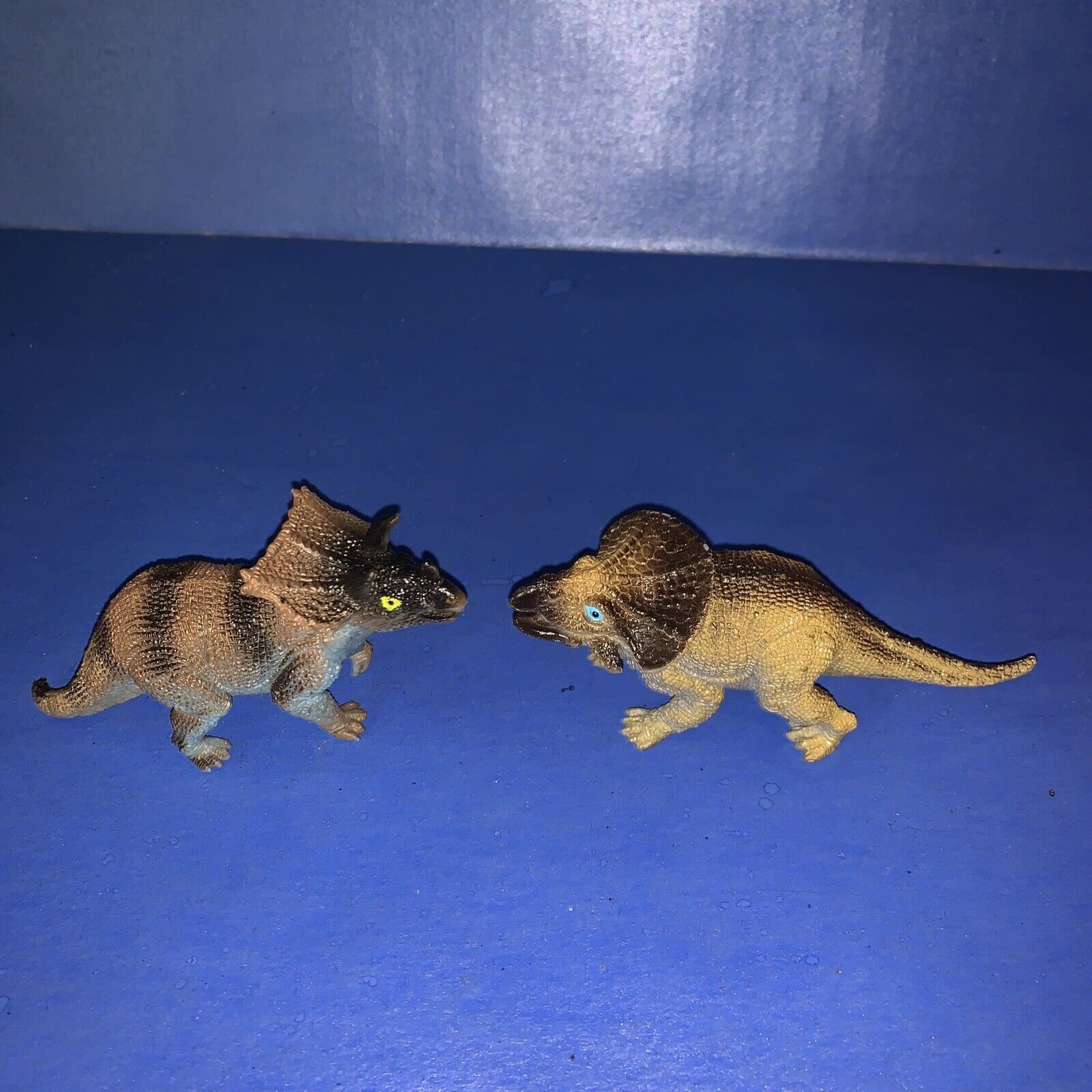 Picture 22 of 24