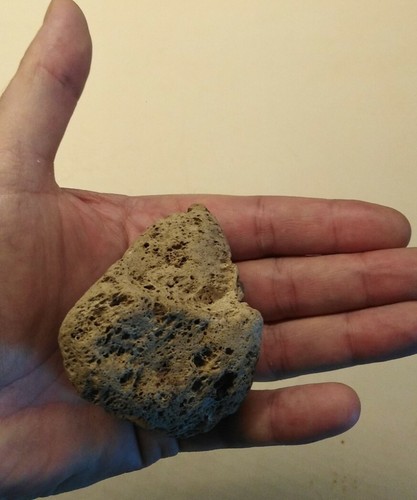 Minerali Fossili Conchiglie = 1 Pietra Pomice + 1 Rosa deserto - Foto 3 di 5