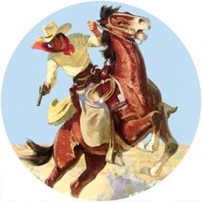 Slipmat Slip Mat for any Felt 12" Turntable LP DJ Record Player New WILD WEST 64