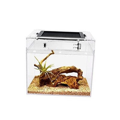 Mini Reptile Terrarium,8'' x 8''x 8'' Reptile Tank with Full View Visually 
